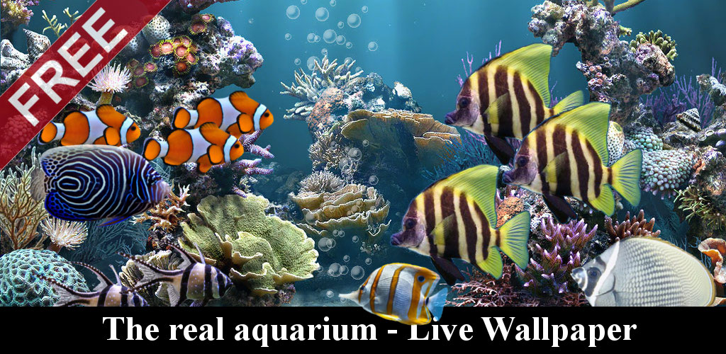 The-real-aquarium-Live-Wallpaper